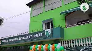 Côte d’Ivoire: Kouamé Kouamé Jean, nouveau Directeur du reboisement et du cadastre Forestier Côte d’Ivoire: Kouamé Kouamé Jean, nouveau Directeur du reboisement et du cadastre Forestier
