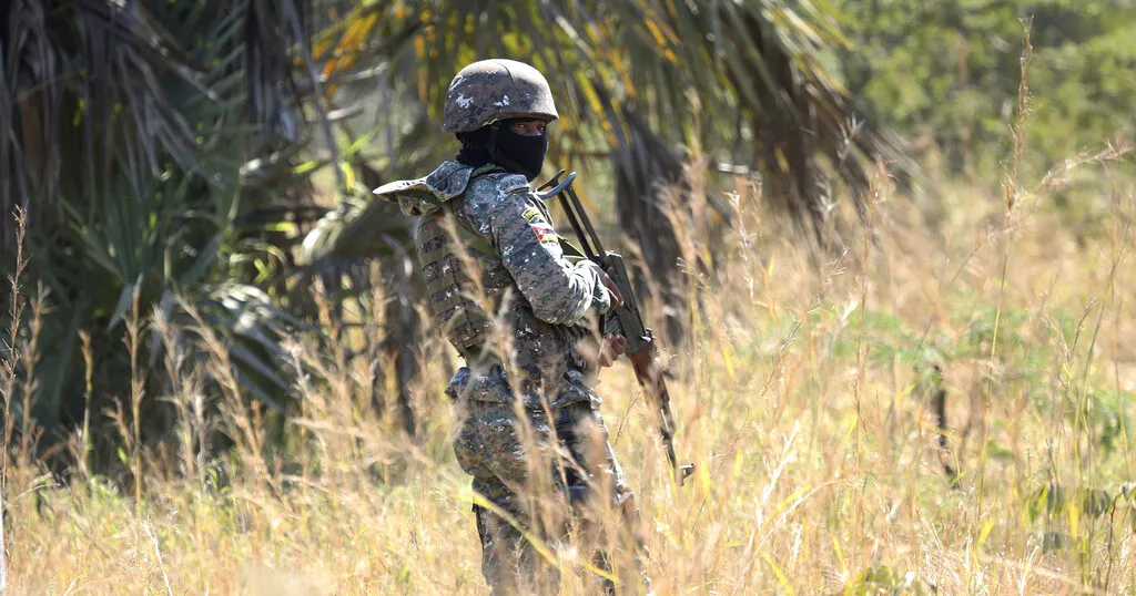 RDC : Plusieurs soldats tanzaniens tués dans le Nord-Kivu RDC : Plusieurs soldats tanzaniens tués dans le Nord-Kivu